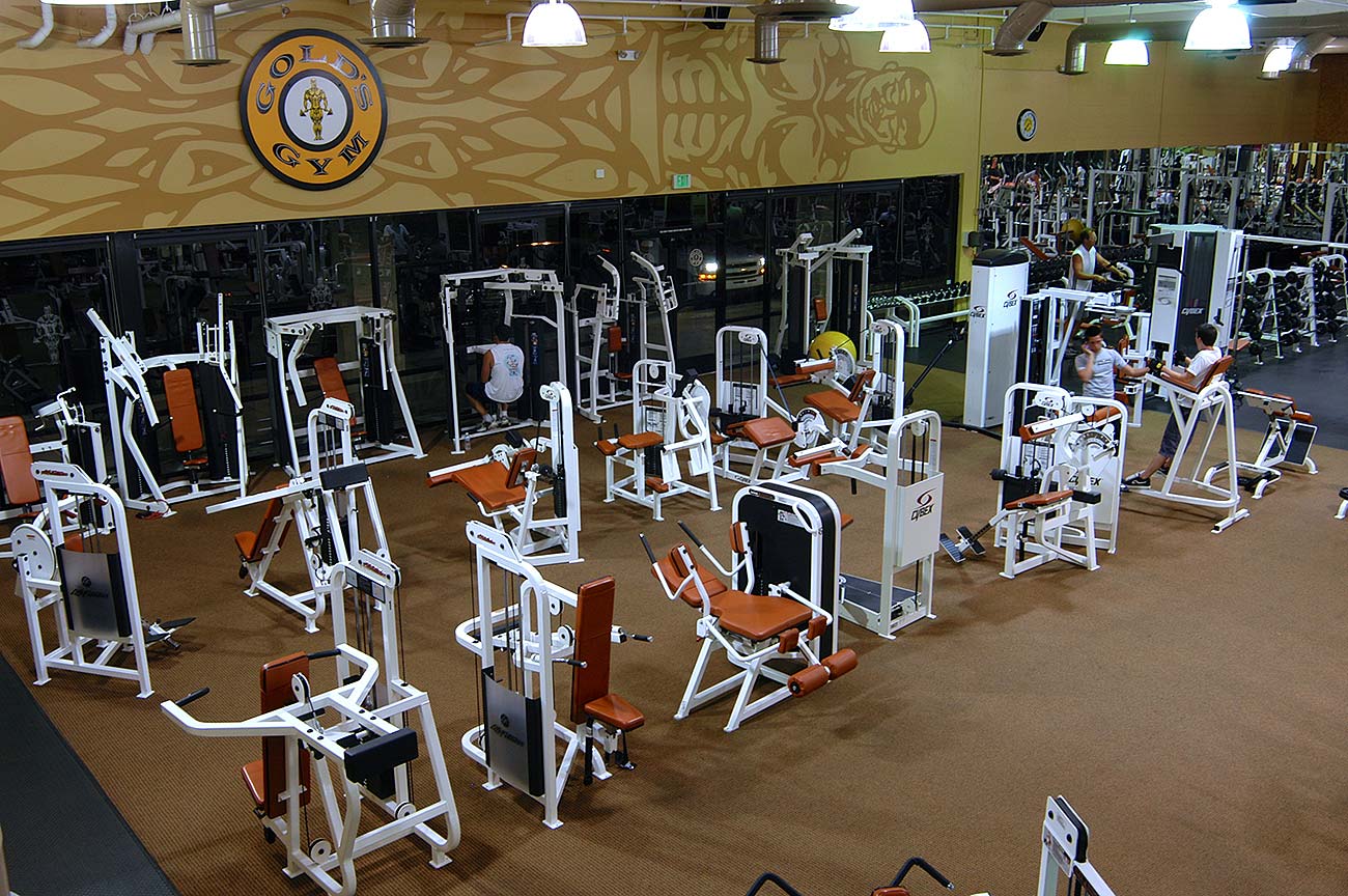 Gold's Gym Renovation - Susan Wesley